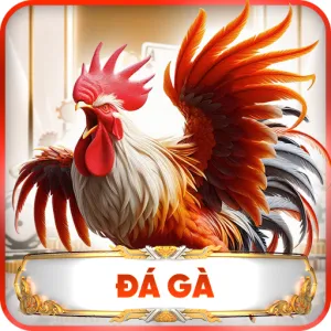 đà gà nhà cái f8bet